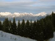MONTE FRONTAL