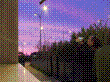 DSCF7644.JPG