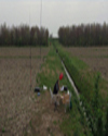 IK3HMB IN QSO